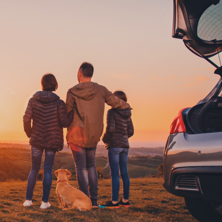 Fırsatı Kaçırmayın